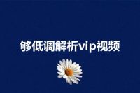 够低调解析vip视频