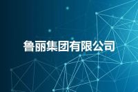 鲁丽集团有限公司