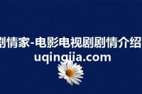 剧情家-电影电视剧剧情介绍 juqingjia.com