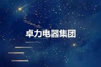 卓力电器集团