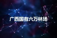 广西国有六万林场