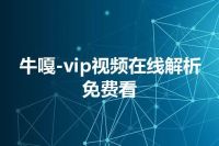 牛嘎-vip视频在线解析免费看