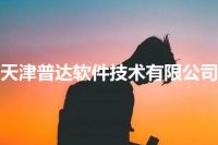 天津普达软件技术有限公司