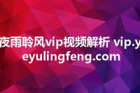夜雨聆风vip视频解析 vip.yeyulingfeng.com