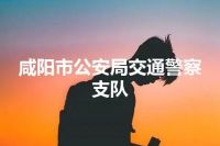 咸阳市公安局交通警察支队