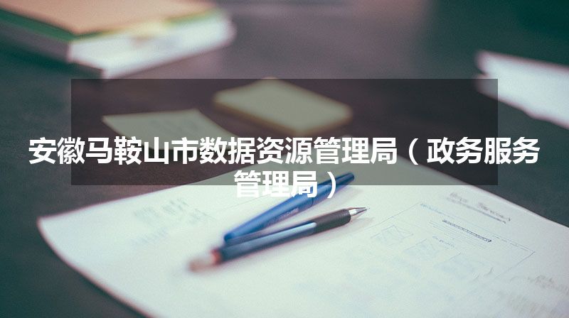 安徽马鞍山市数据资源管理局（政务服务管理局）