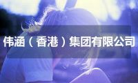 伟涵（香港）集团有限公司