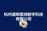 杭州通明星球数字科技有限公司
