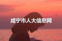 咸宁市人大信息网