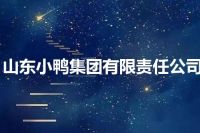 山东小鸭集团有限责任公司