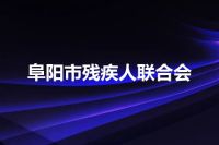 阜阳市残疾人联合会