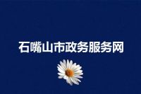 石嘴山市政务服务网