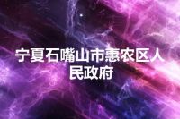 宁夏石嘴山市惠农区人民政府