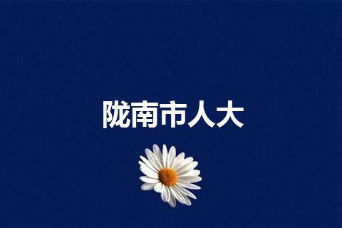 陇南市人大