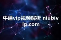牛逼vip视频解析 niubivip.com