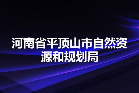 河南省平顶山市自然资源和规划局