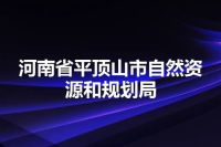 河南省平顶山市自然资源和规划局