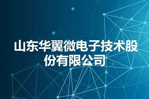 山东华翼微电子技术股份有限公司