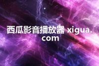 西瓜影音播放器 xigua.com