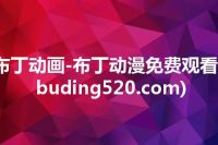 布丁动画-布丁动漫免费观看(buding520.com)