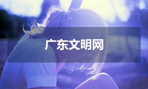 广东文明网