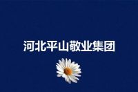 河北平山敬业集团