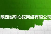 陕西省称心砣网络有限公司
