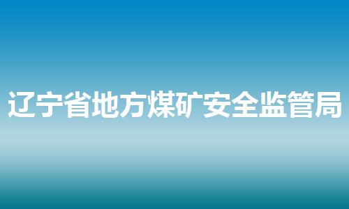 辽宁省地方煤矿安全监管局