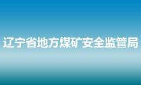 辽宁省地方煤矿安全监管局