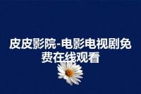 皮皮影院-电影电视剧免费在线观看