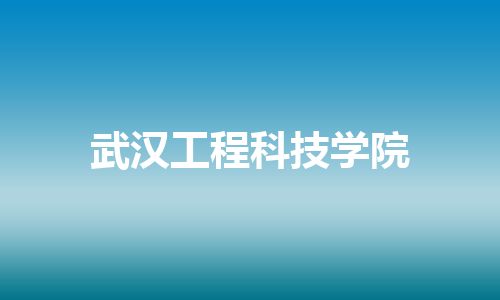 武汉工程科技学院