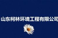 山东柯林环境工程有限公司