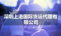 深圳上港国际货运代理有限公司