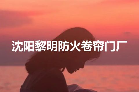 沈阳黎明防火卷帘门厂