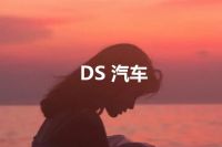 DS 汽车