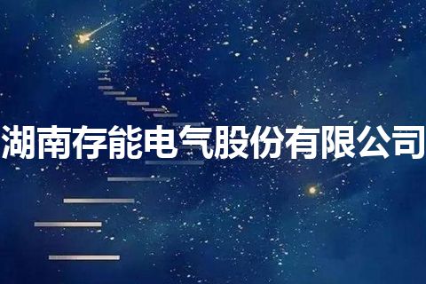 湖南存能电气股份有限公司