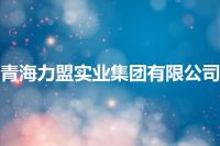 青海力盟实业集团有限公司