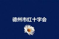德州市红十字会