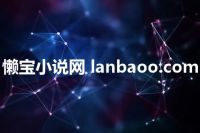 懒宝小说网 lanbaoo.com
