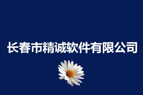 长春市精诚软件有限公司