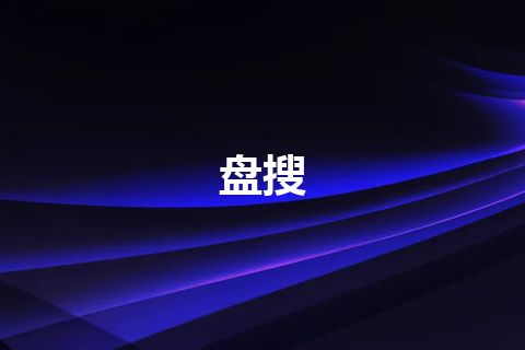 盘搜