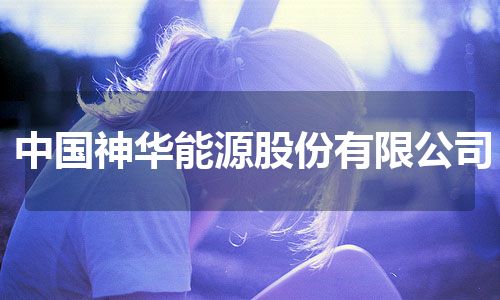 中国神华能源股份有限公司