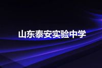 山东泰安实验中学