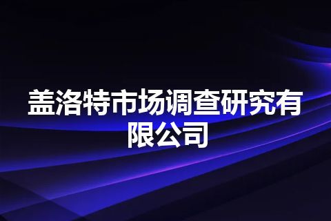 盖洛特市场调查研究有限公司