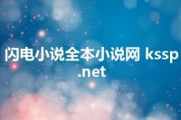 闪电小说全本小说网 kssp.net