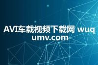 AVI车载视频下载网 wuqumv.com