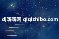 dj嗨嗨网 qiqizhibo.com