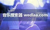音乐搜索器 wedlaa.com