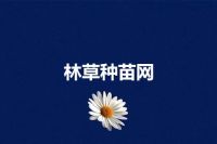 林草种苗网