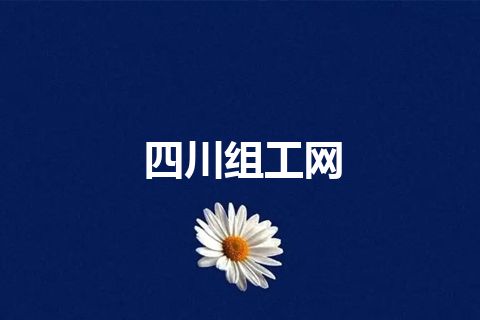 四川组工网